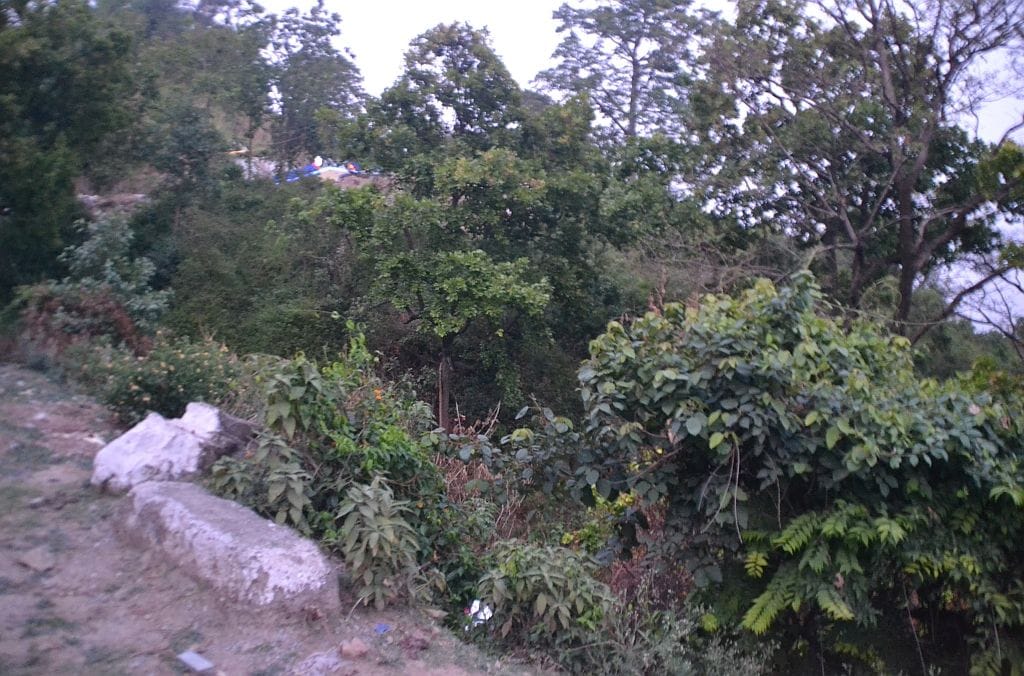 The way for model career center is clear, now it will be constructed in Kanshiwala