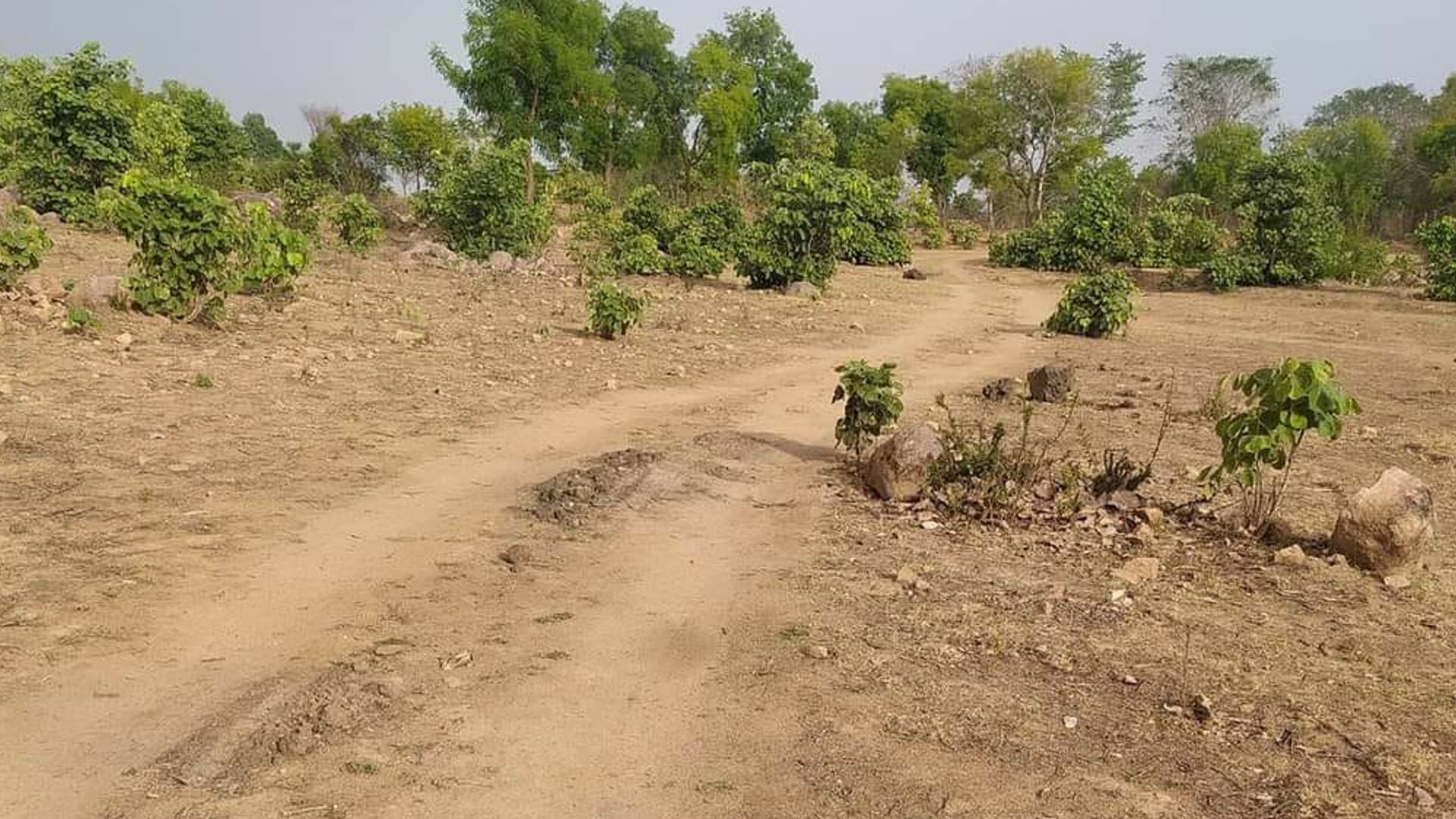 MP News: The tomb of the queen of Chhatrasal, who took iron from the Mughals, is facing unseen bites, ruins become a tourist destination