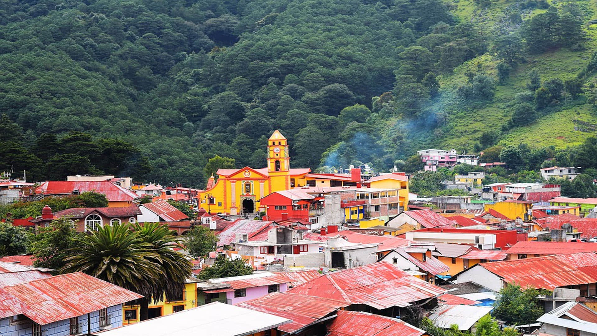 Maharashtra Shetphal Village Where Poisonous Cobra Snakes And Humans Live Together As A Family