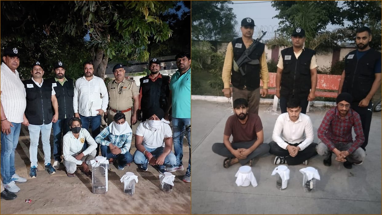 Bahadurgarh STF busted illegal arms trade through internet