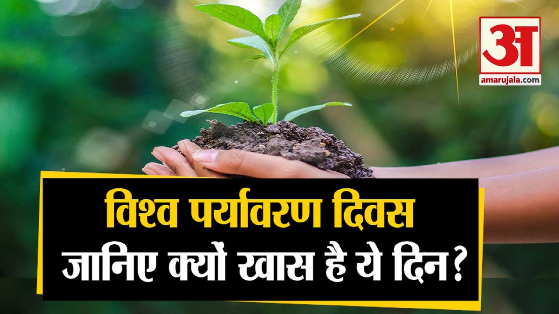 World Environment Day 2022: Why Do We Celebrate World Environment Day Know When and How Started History And Theme