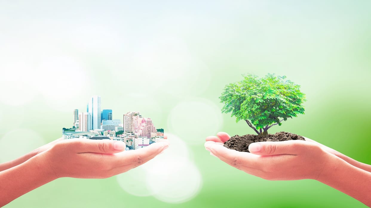 World Environment Day 2022 Don’t Do These Mistakes Will Become Environmental Enemy