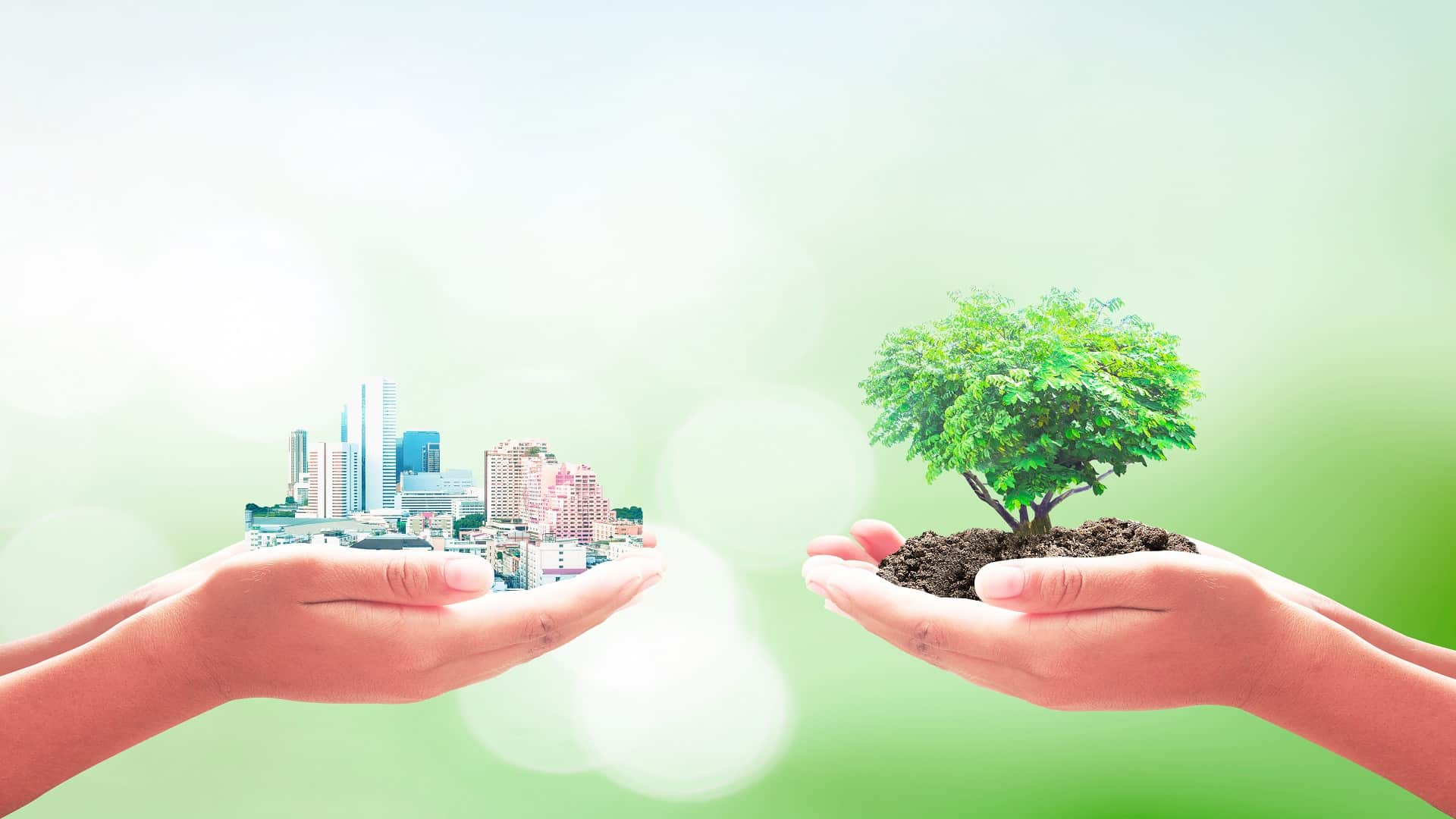 World Environment Day 2023 Take Oath To Protect Earth in Hindi