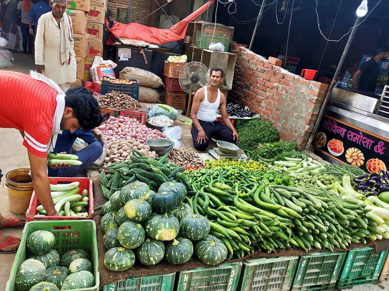 vegetable