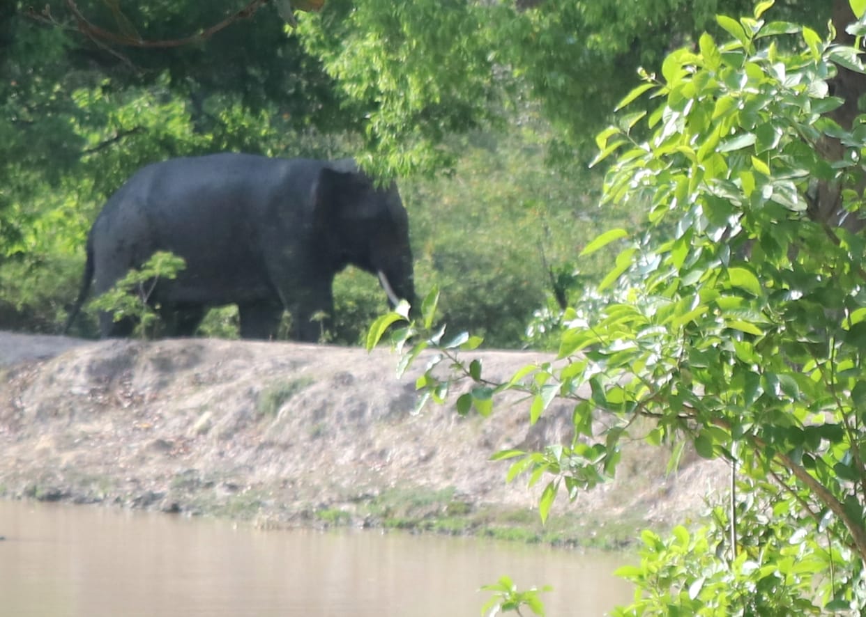 Preparations to open Amangarh for tourists in June