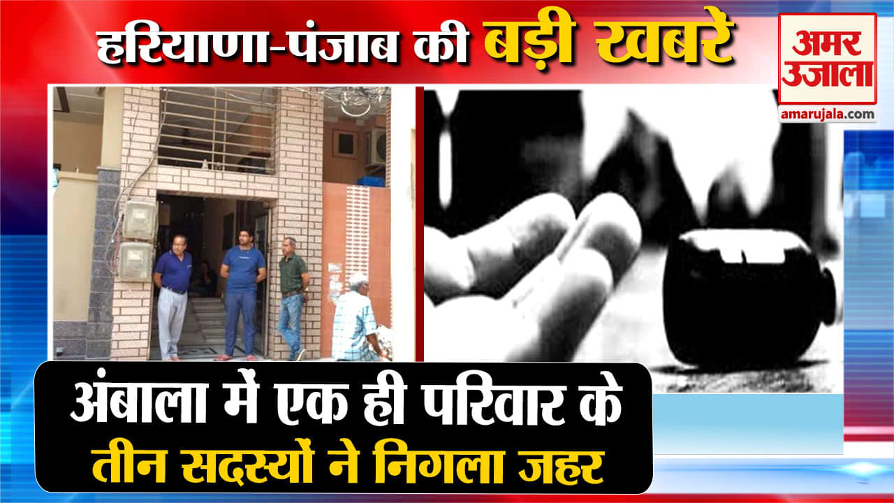 हरियाणा न्यूज