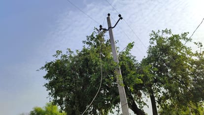 HT line fell on farmer in Hamirpur, painful death by scorching, guarding was not installed under high tension