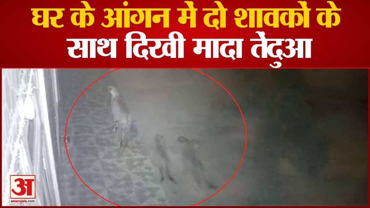 अमर उजाला ग्राफिक्स