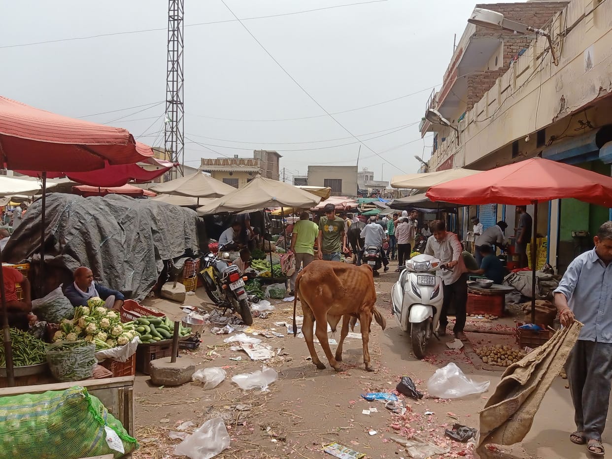 Encroachment on roads can be an important issue in city council elections