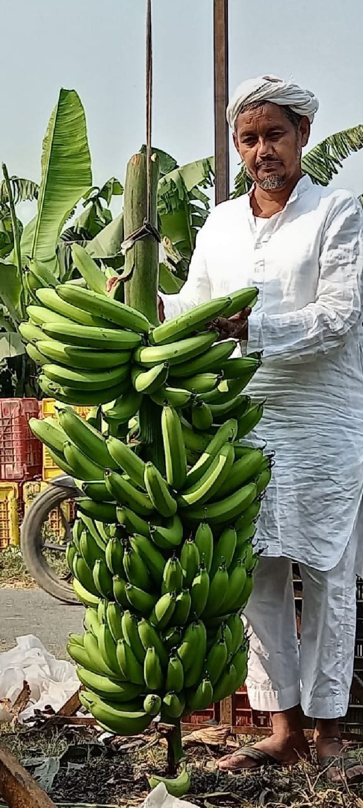 Used to do a job on 11 rupees daily, today 40 lakhs are being saved in the year