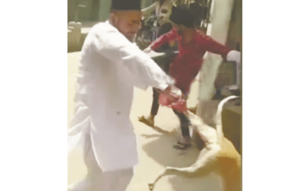 stray dog was twisted holding the tail and thrown, report