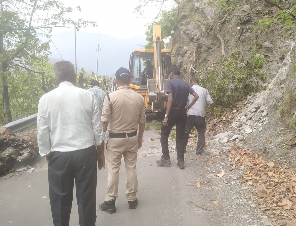 Fallen Tree Stops traffic