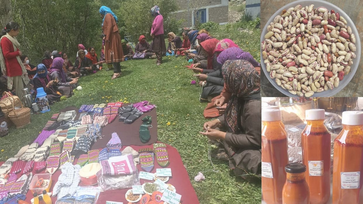 amar ujala umeed ki mashal lahaul spiti women self help group umang story