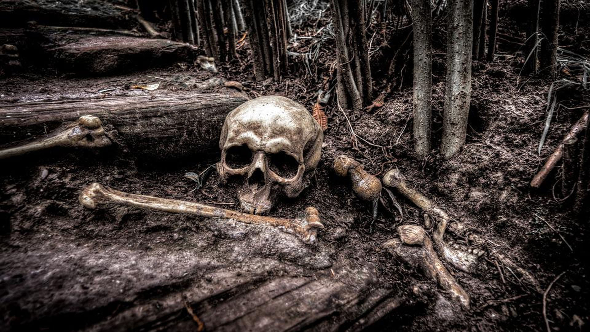 Punishment in China 3000 Year Old Skeleton Revealed the Secrets of China’s Cruelty Punishments After know You Will be Shock
