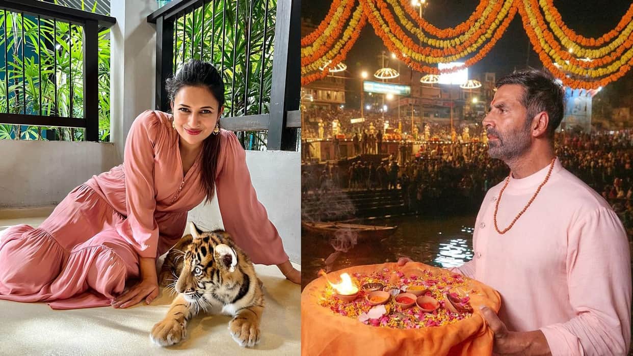 Samrat Prithviraj actor akshay kumar visit kashi vishwanath dham and divyanka tripathi seen with tiger today celebrity update in 10 pictures