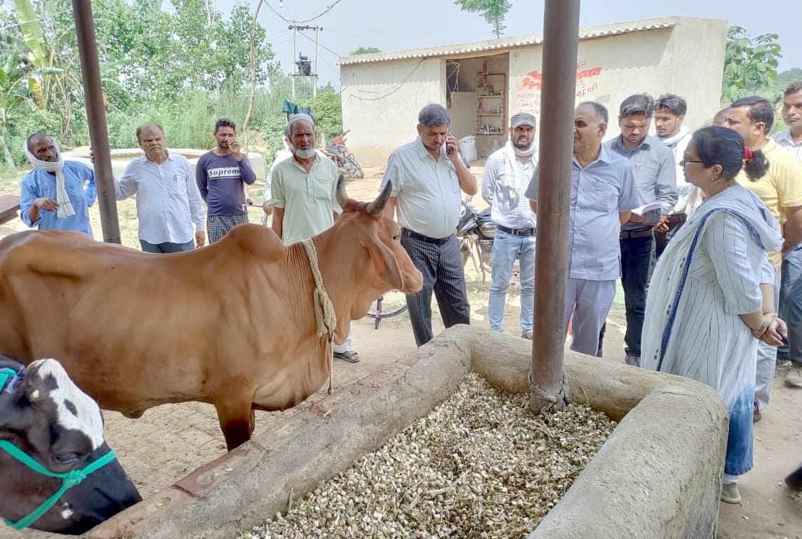 SDM inspected the temporary cow shelter built in Ghansurpur