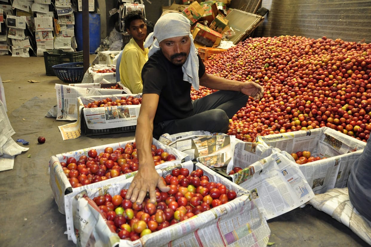 Stunning entry in the mandis of Centaroza plum