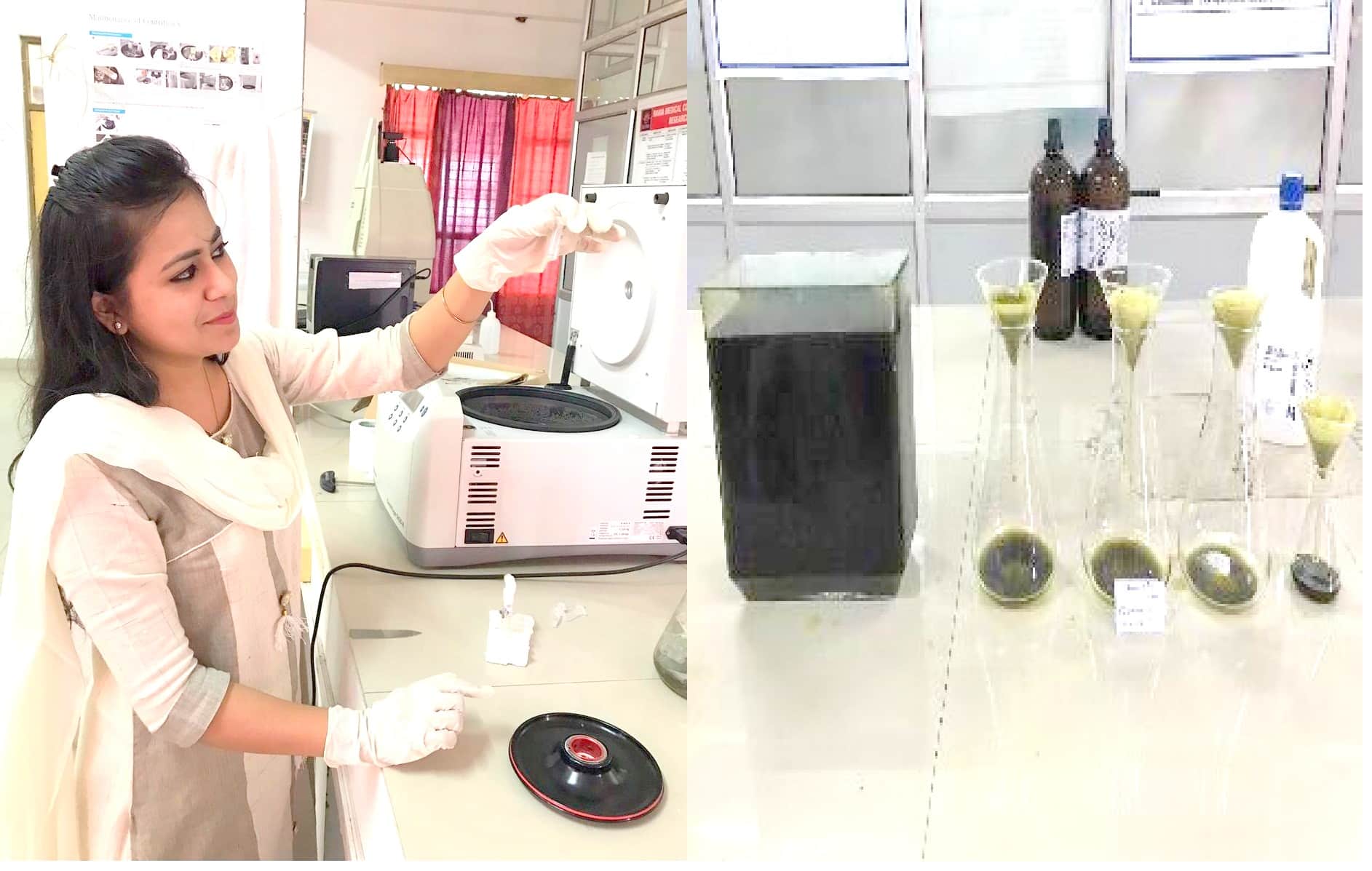 Cancer Treatment, good news for cancer patients, oil made from cannabis leaves will cut the pain of chemotherapy