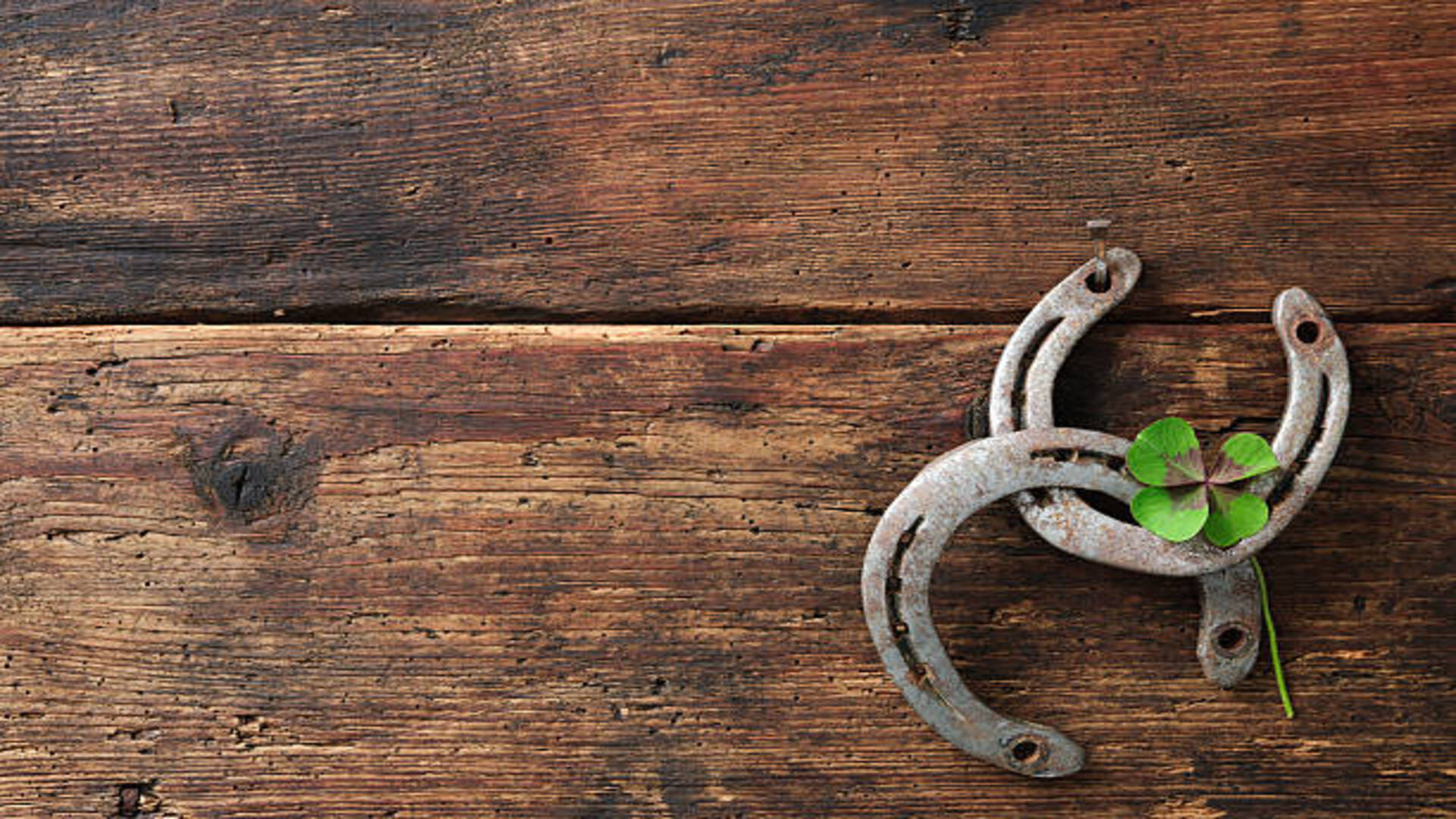 Jyotish Upay horseshoe removes all the problems from life know the benefits
