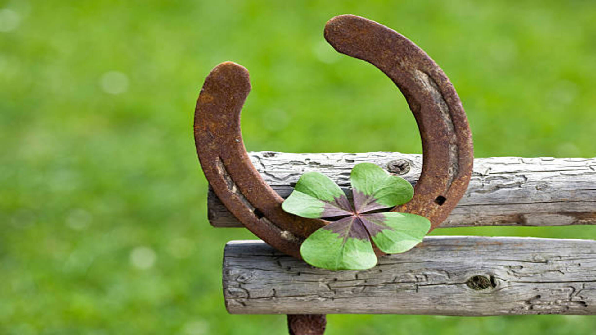 Jyotish Upay horseshoe removes all the problems from life know the benefits