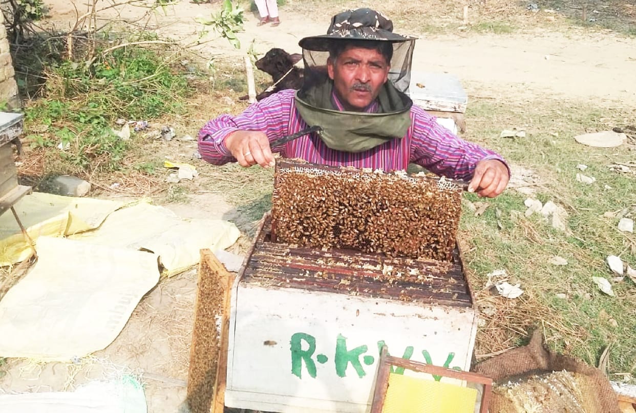 When hobby became passion, then the business of honey reached across the border