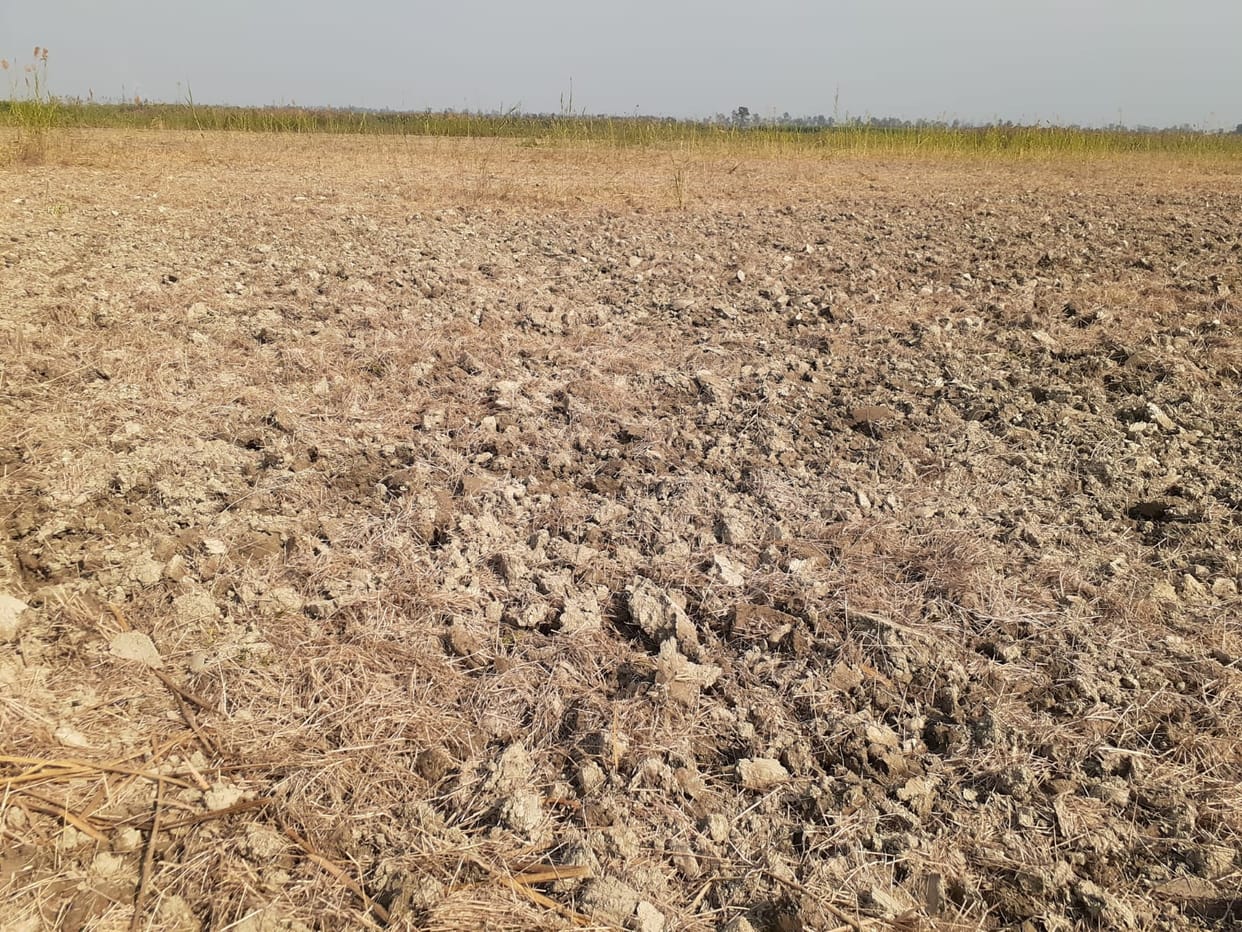 Occupation of two hundred acres of ceiling