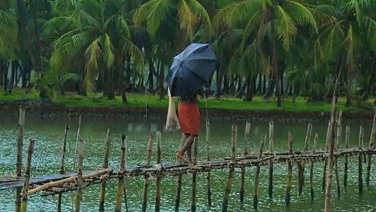 Monsoon Update IMD Rainfall Prediction in These Areas Monsoon Kab Aayega Weather News in Hindi