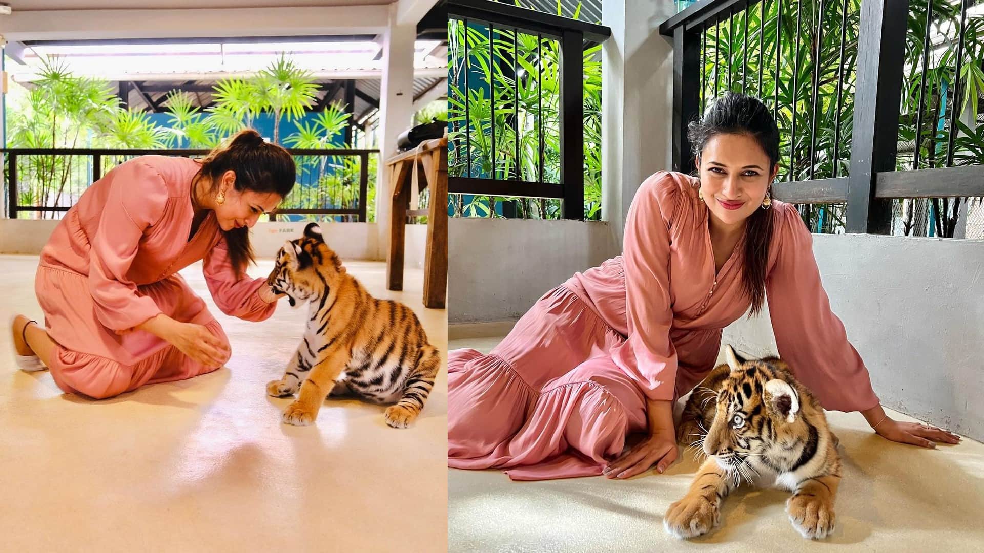 Samrat Prithviraj actor akshay kumar visit kashi vishwanath dham and divyanka tripathi seen with tiger today celebrity update in 10 pictures
