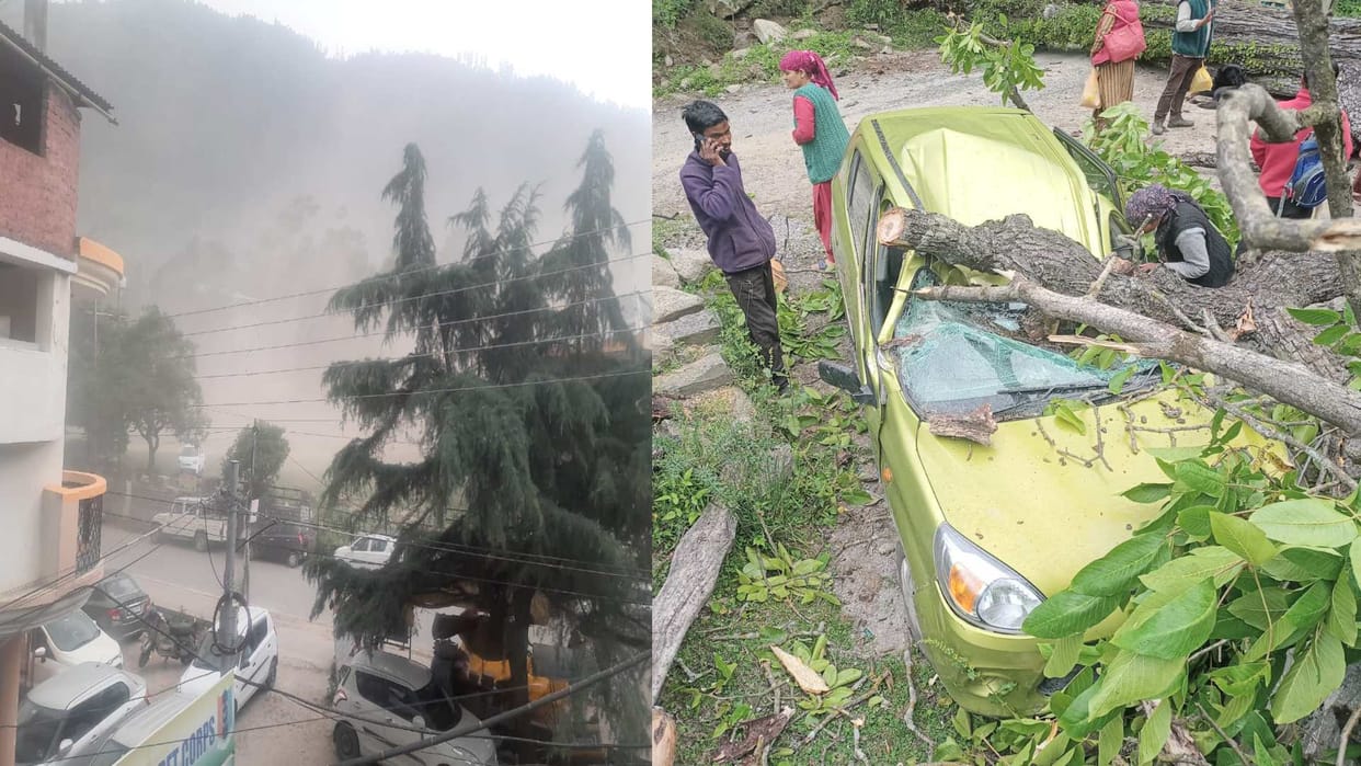 Thunderstorm  Kullu: car damaged due to falling trees, power failure, damage to gardening