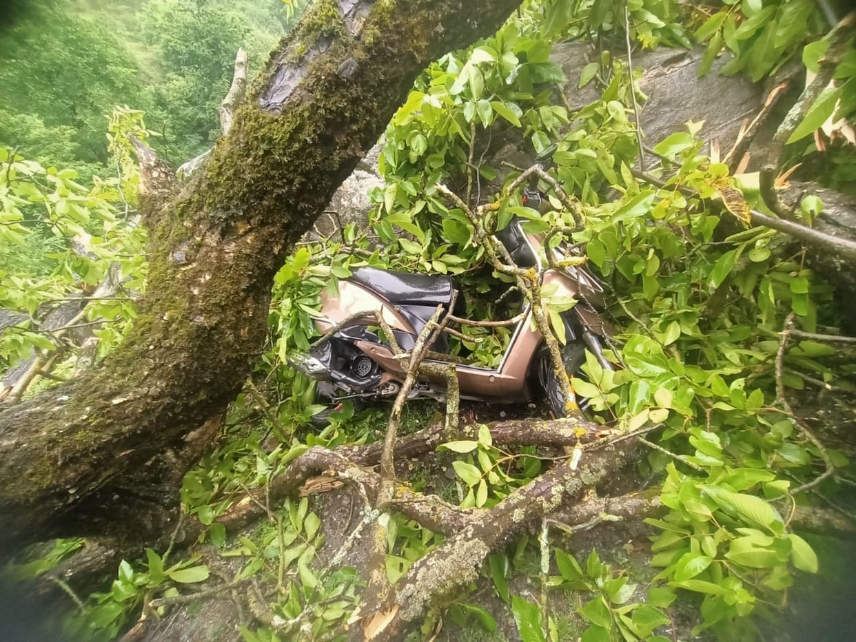 Trees fell on vehicles due to storm, power failure due to breaking of wires