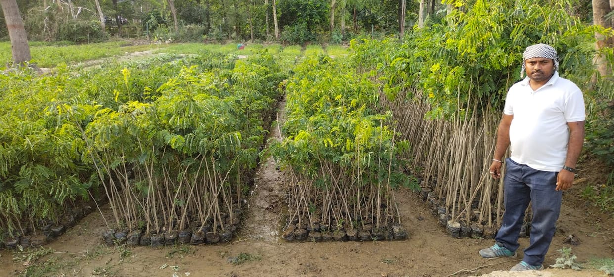 27 departments will plant 59 lakh saplings in the district