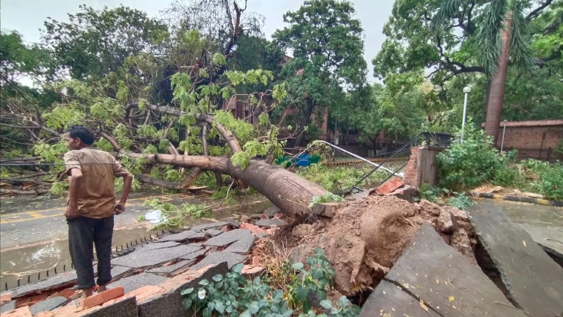 Rain in Delhi-NCR Today: Weather Delhi Haryana Uttar Pradesh Today Due to Storm In Heavy Damage JAMA Masjid News in Hindi