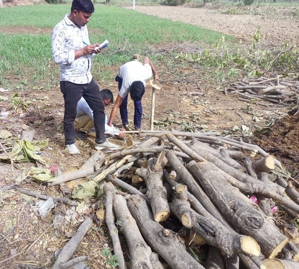 Kanpur dehat : 24 green trees of teak, neem and sycamore were cut, the team of forest department seized tractor and loader