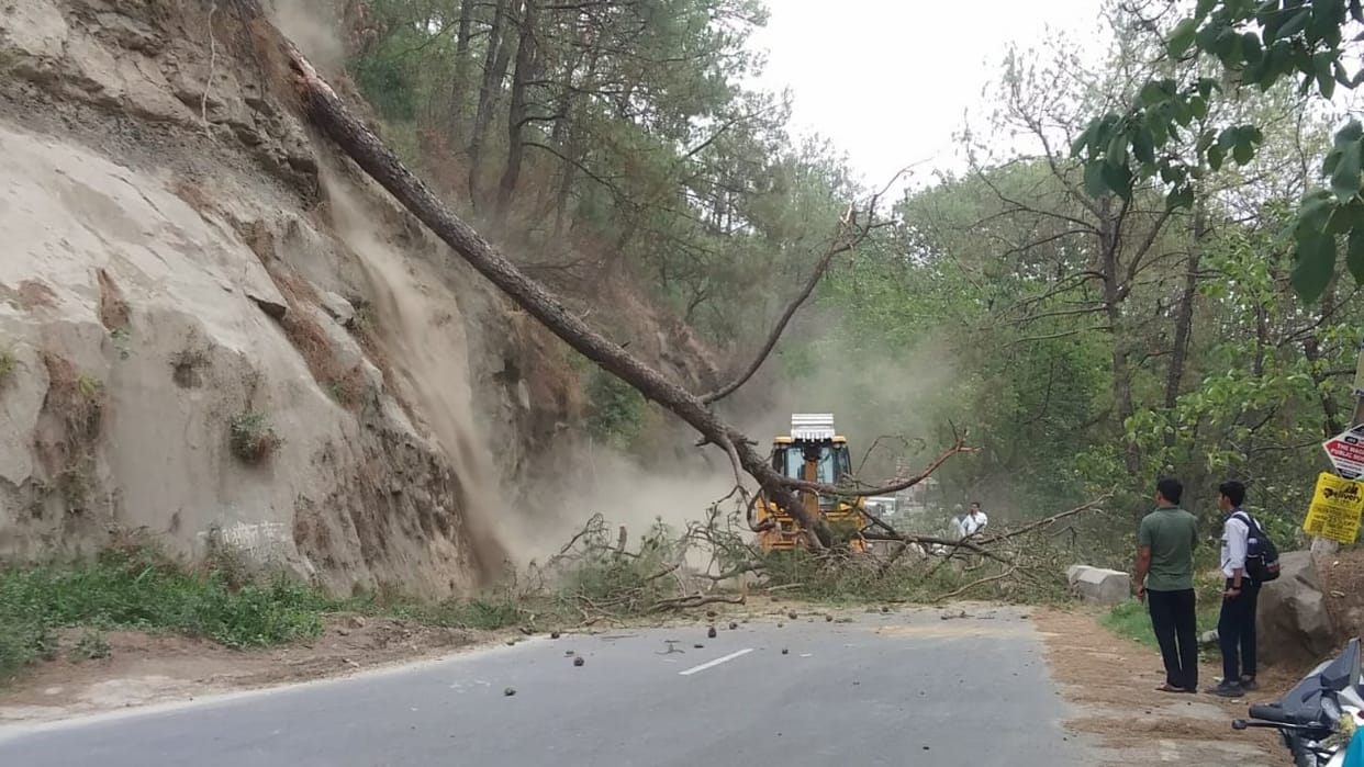Trees fell due to storm, traffic remained closed for half an hour on Hamirpur-Nadaun road