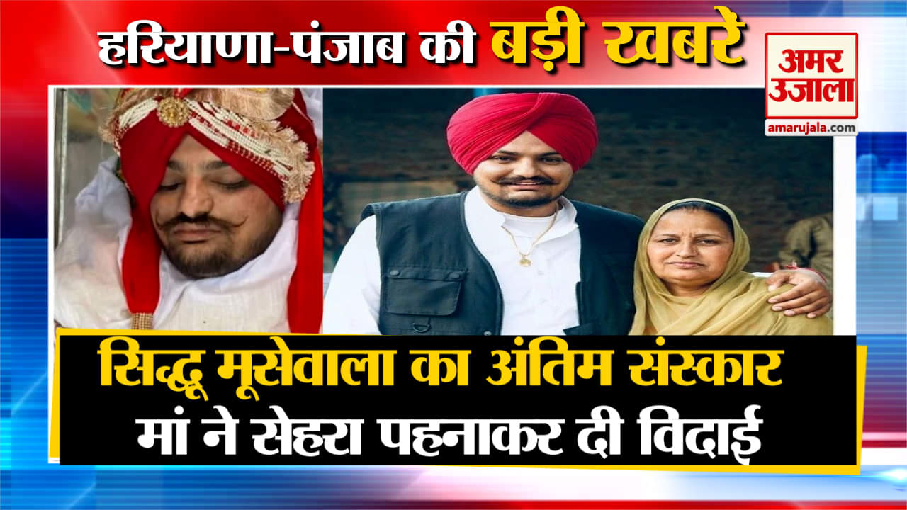 हरियाणा न्यूज