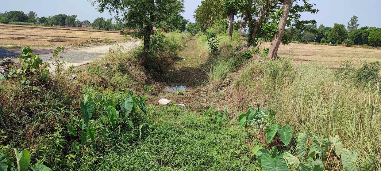 Farmers need water, canals water