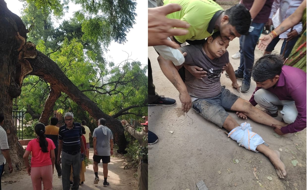Huge tree fell down suddenly in Kanpur, two people injured, police reached the spot