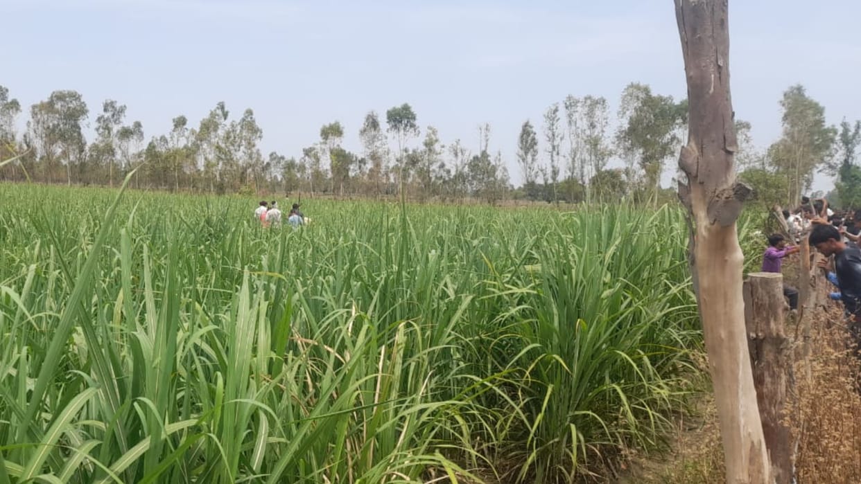UP farmer irrigating fields died of electric current shock