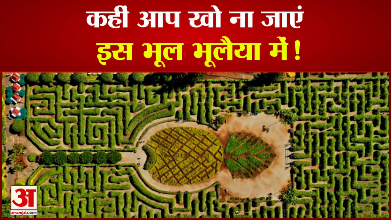 भूल भूलैया