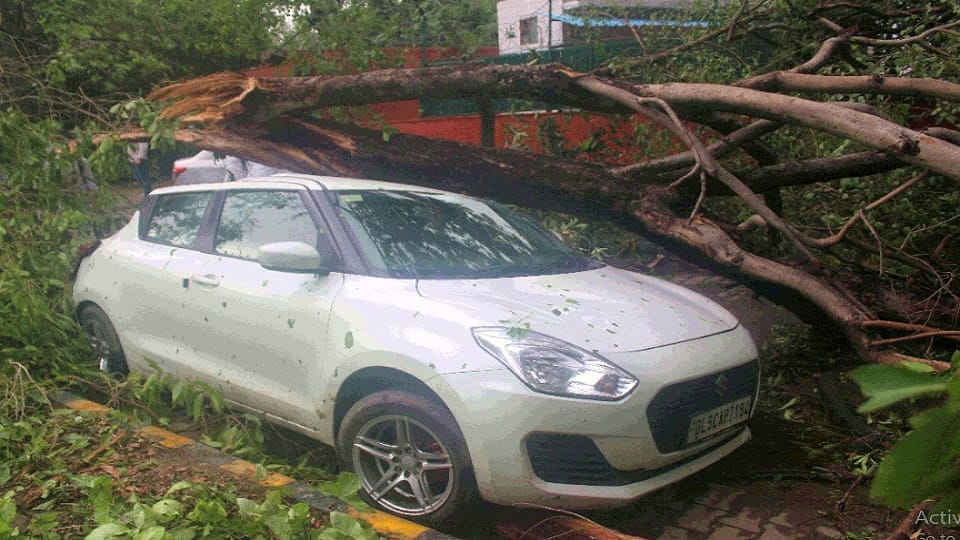 delhi rains thunderstorm and rain disrupted life two people died 100 more trees fell eight flights were diverted 70 delayed