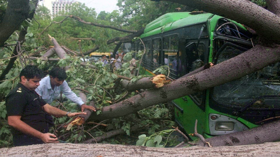 delhi rains thunderstorm and rain disrupted life two people died 100 more trees fell eight flights were diverted 70 delayed