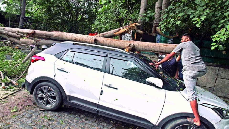 delhi rains thunderstorm and rain disrupted life two people died 100 more trees fell eight flights were diverted 70 delayed