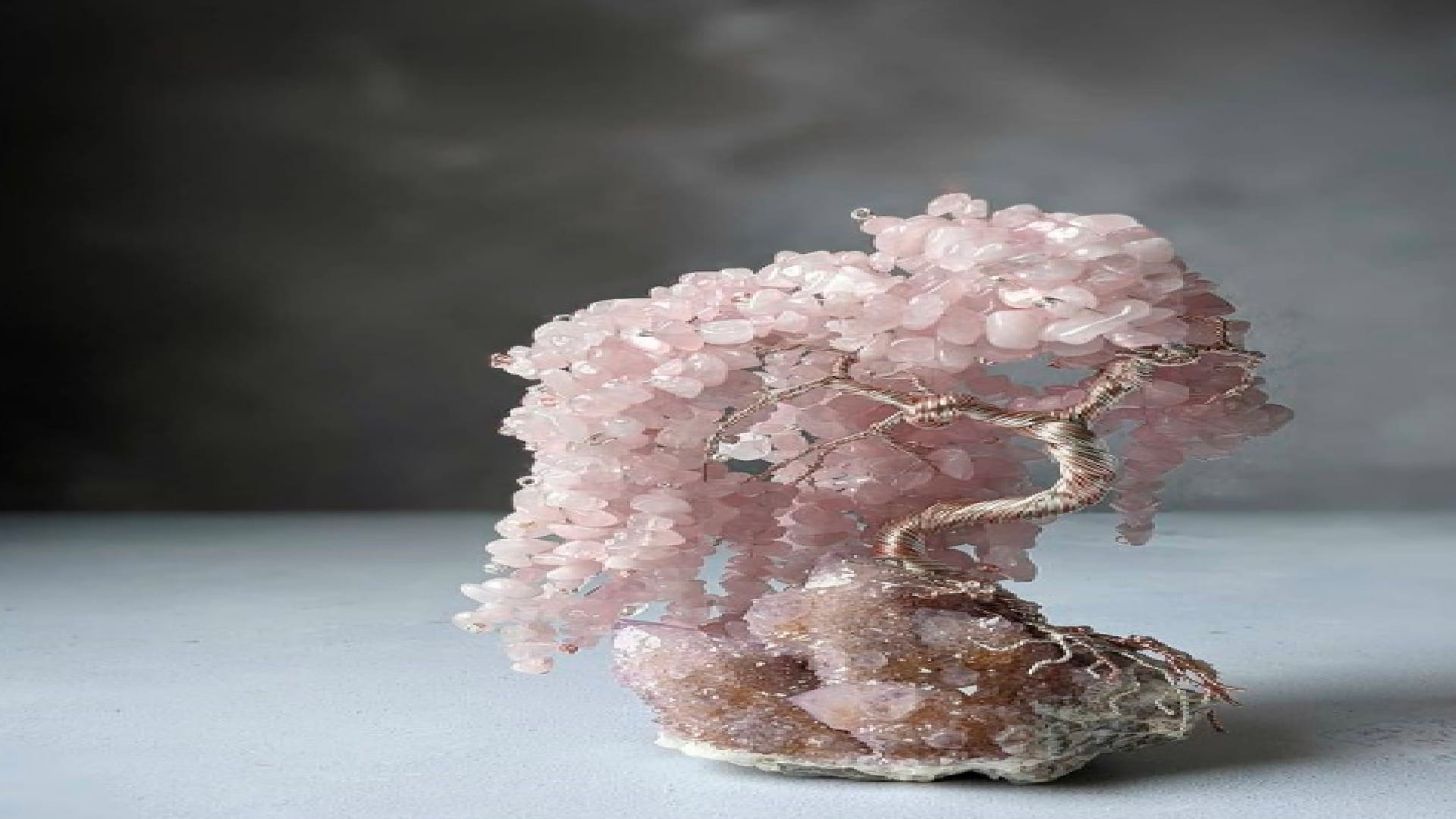 Fengshui Tips in hindi If you want to progress in life then keep crystal tree like this at home or office