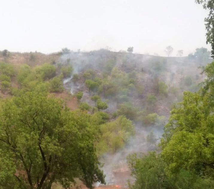The forest fire was controlled before reaching the settlement