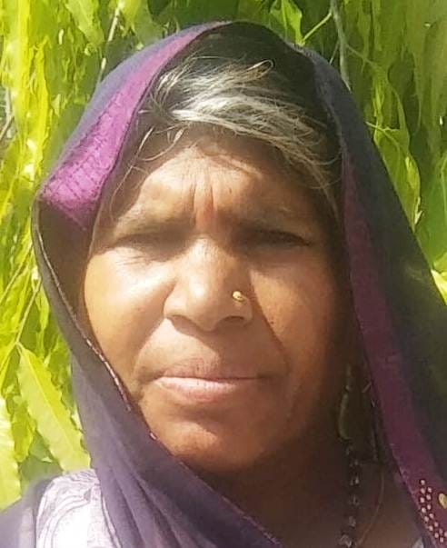 tractor loader crashed, one lady died, 16 injured