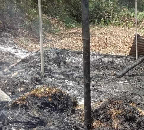 Fire kills Three Kettles in Salt