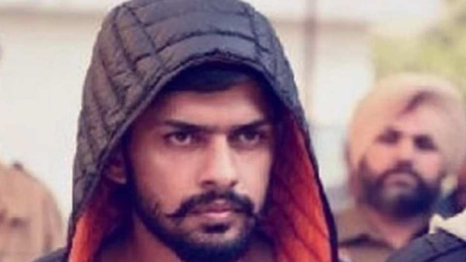 Shaganpreet filed two petitions in Punjab and Haryana High Court