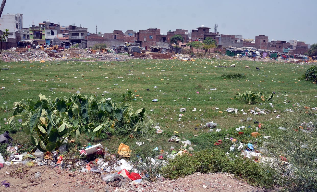 In search of nectar to the lake of Basant Vihar