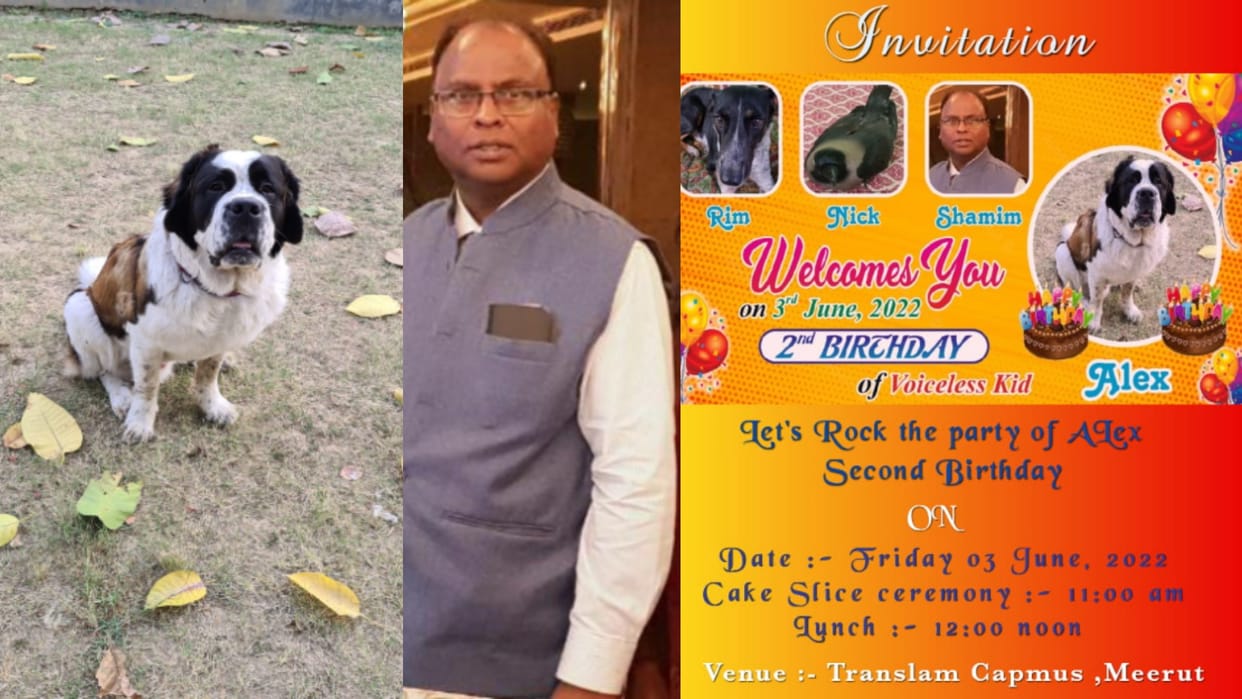Meerut News: Big preparations for birthday of dog, menu is like a wedding feast