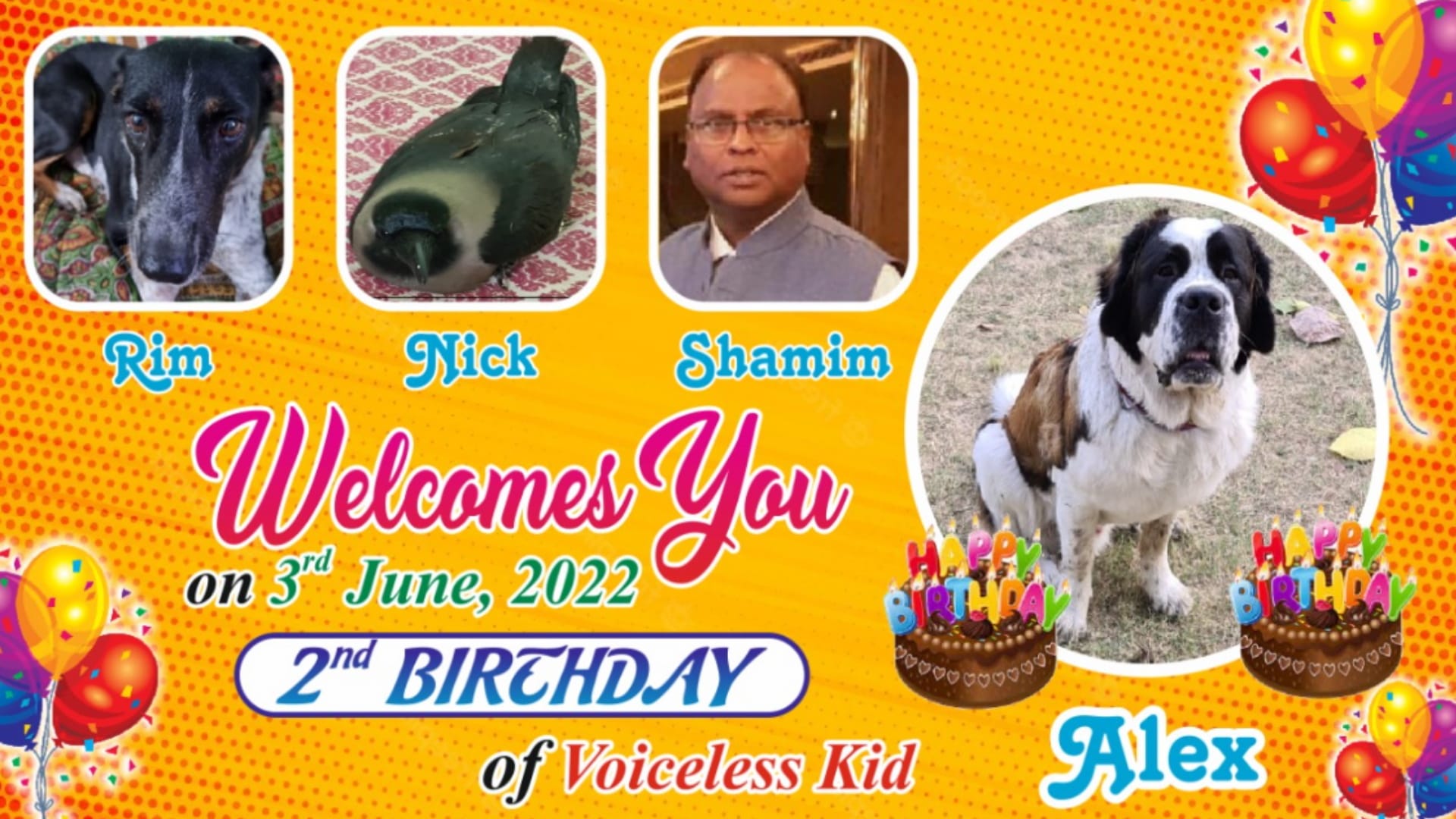 Meerut News: Big preparations for birthday of dog, menu is like a wedding feast